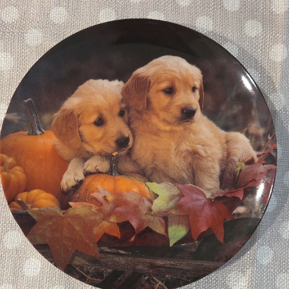 Bradford Exchange Porcelain Plate